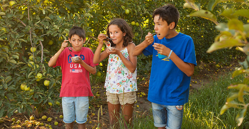 Beneficios de la fruta para la salud
