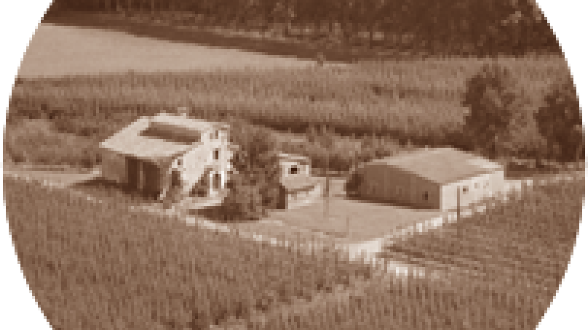 1990