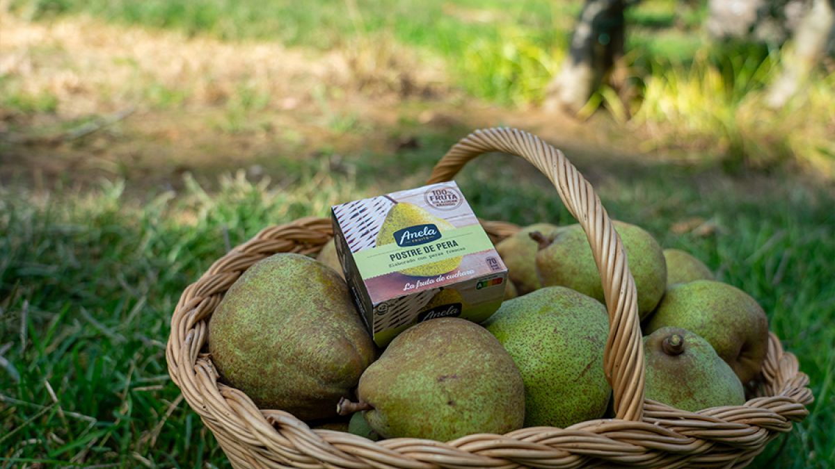 La récolte est terminée dans nos plantations!