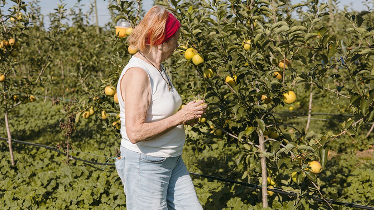 L’importance de manger des fruits toute l’année